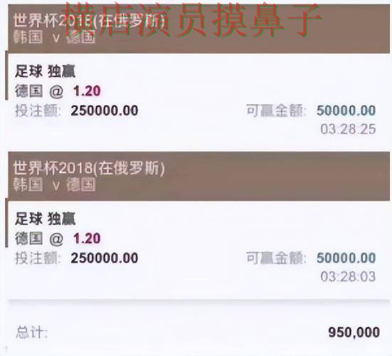 2026世界杯期间热门世界杯买球平台精选与直播入口分析