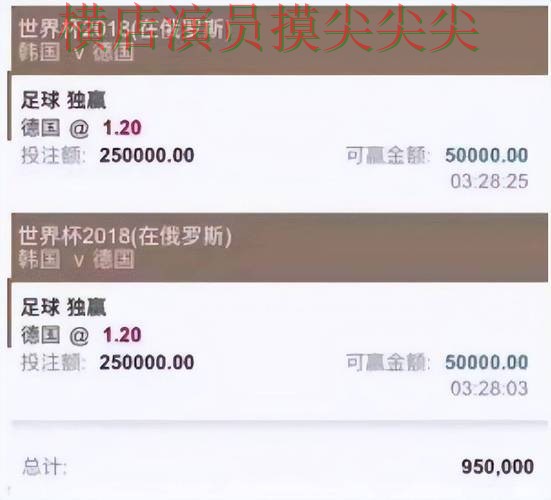 世界杯官方信息期间热门世界杯投注平台揭秘与直播入口分析